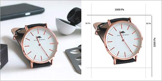 Watch Photo Editing Services working sample at ClippingPathCenter